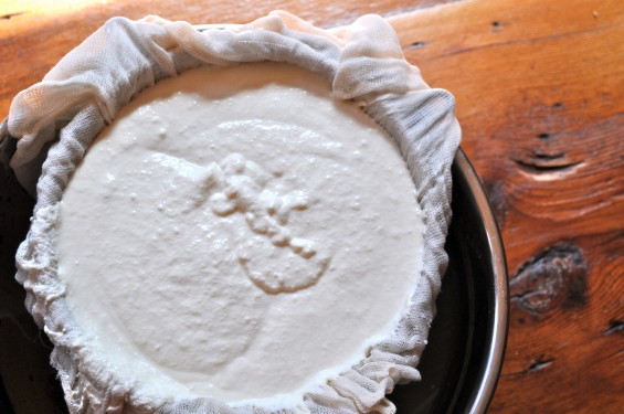 making ricotta chese