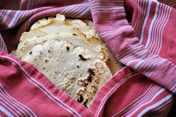 homemade corn tortillas